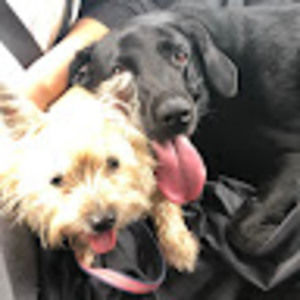 Meet your Posher, Abbigail